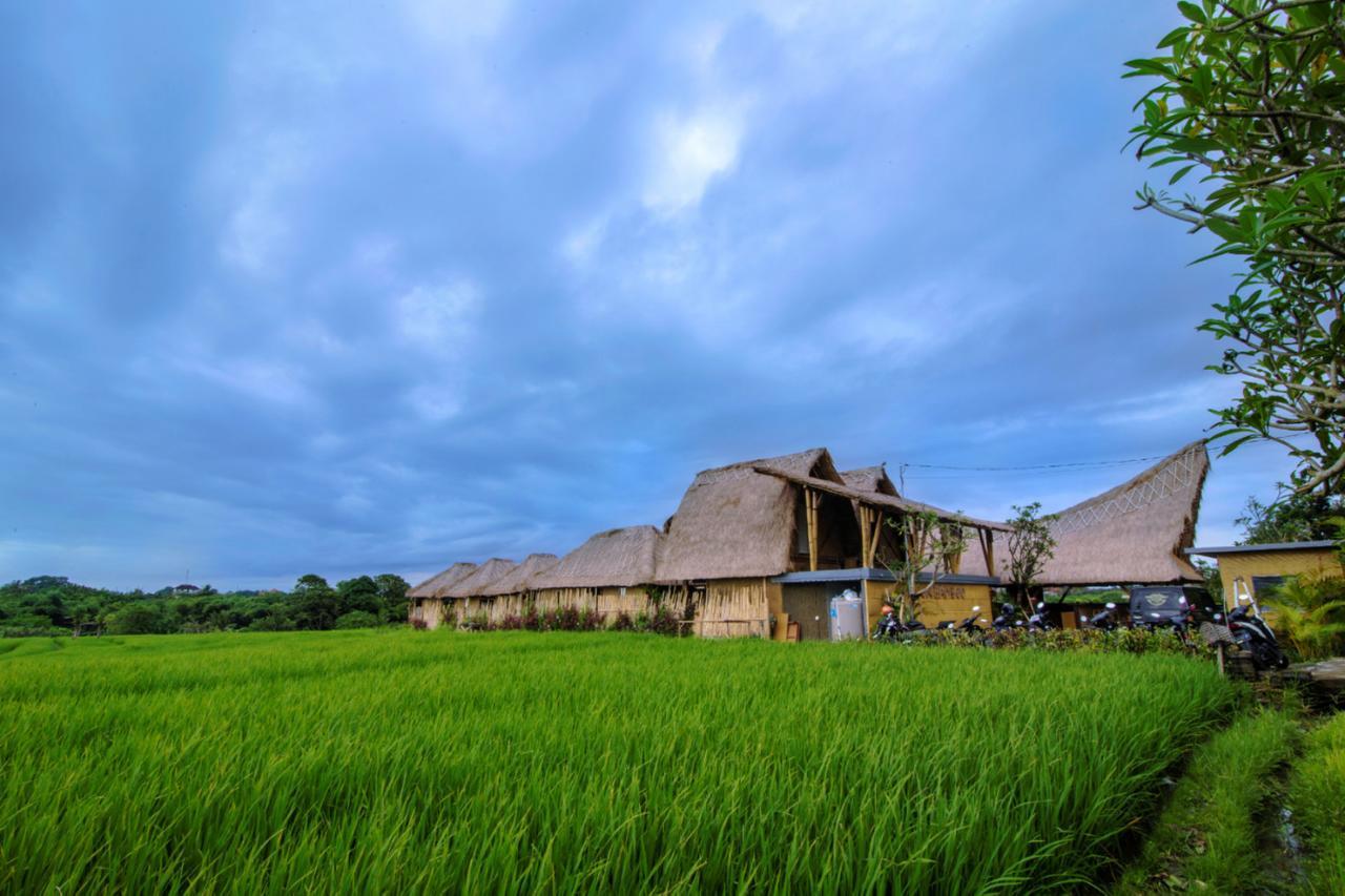 Апартаменты Moon Bamboo Чангу Экстерьер фото